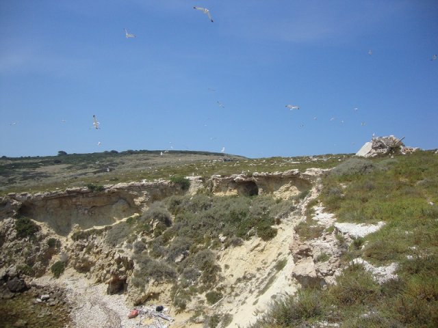 tremiti-matera 01-06-2015 082